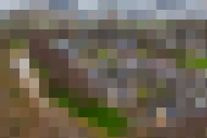 Wederik 14 Werkendam thumbnail 43