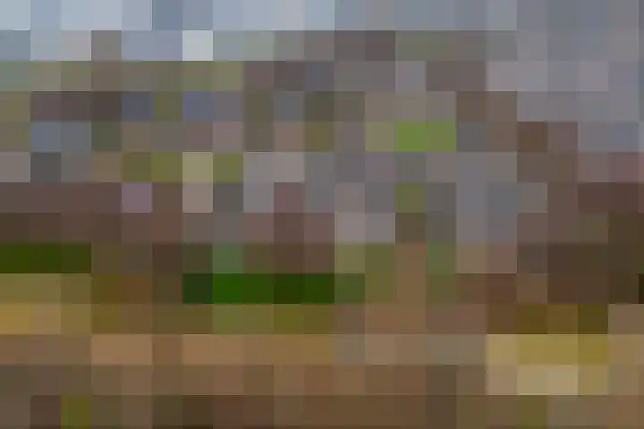 Wederik 14 Werkendam thumbnail 44