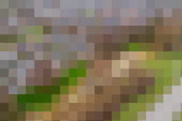 Wederik 14 Werkendam thumbnail 45
