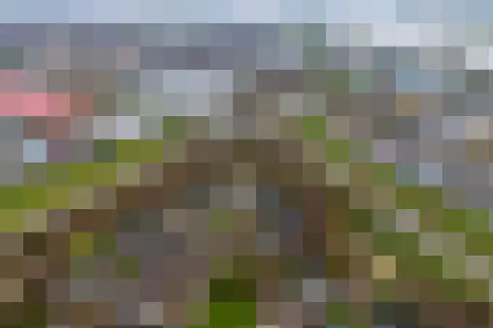 Wederik 14 Werkendam thumbnail 46