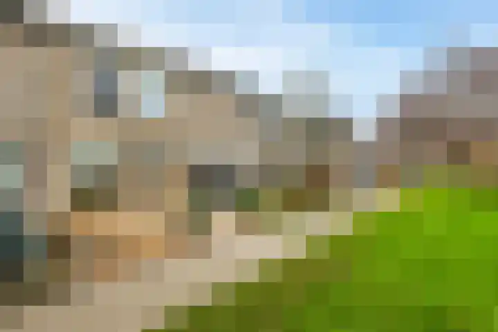 Wederik 14 Werkendam thumbnail 8
