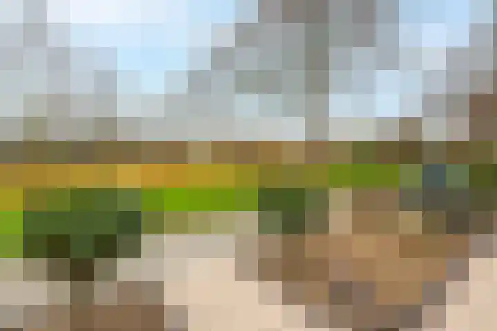 Wederik 14 Werkendam thumbnail 9