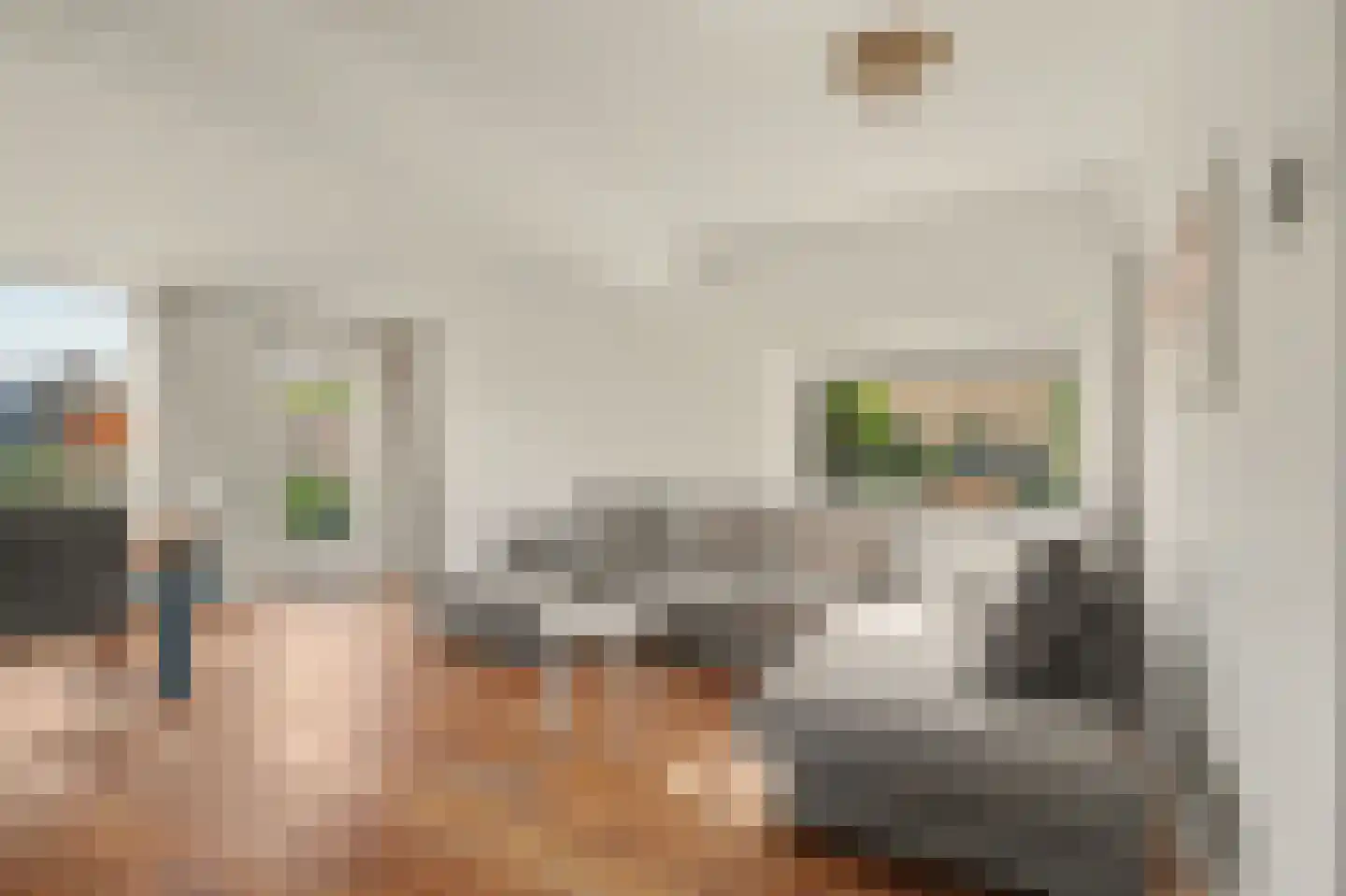 Wederik 15 Reeuwijk thumbnail 12