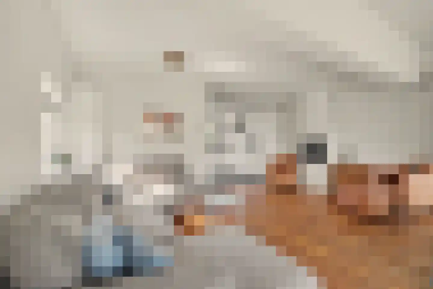 Wederik 15 Reeuwijk thumbnail 13