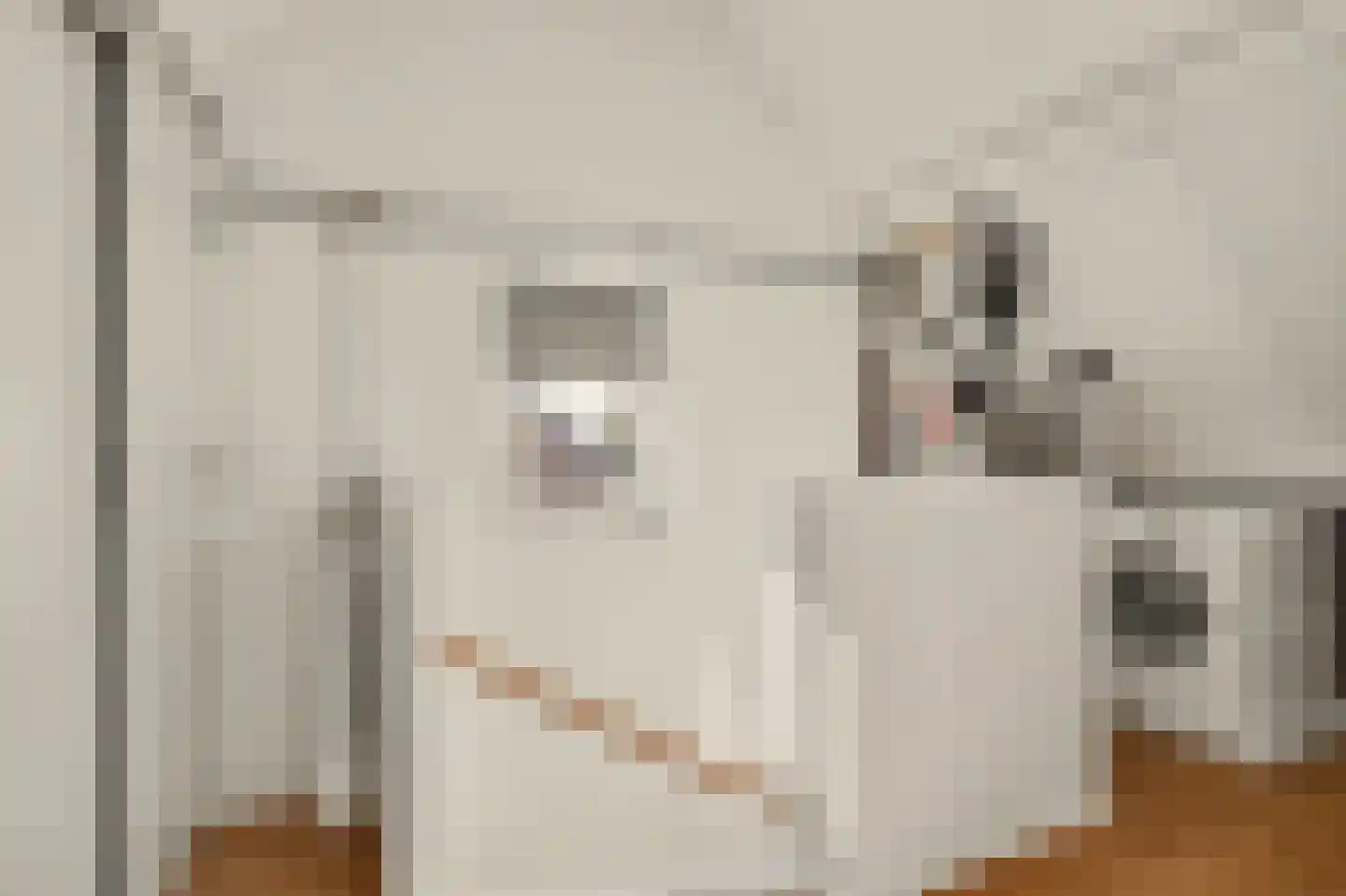 Wederik 15 Reeuwijk thumbnail 27