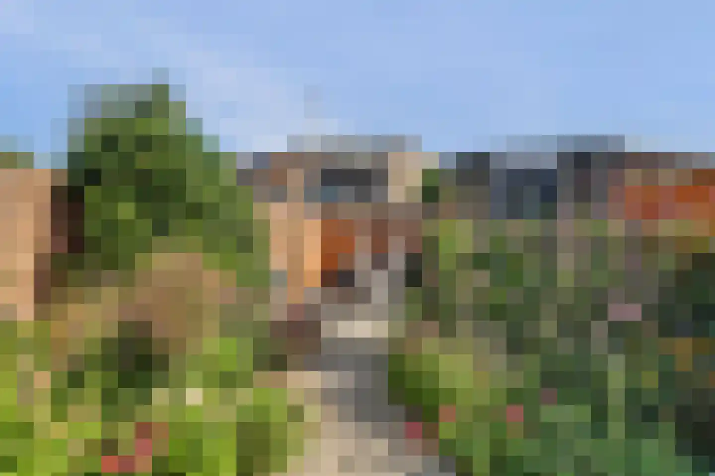 Wederik 15 Reeuwijk thumbnail 31