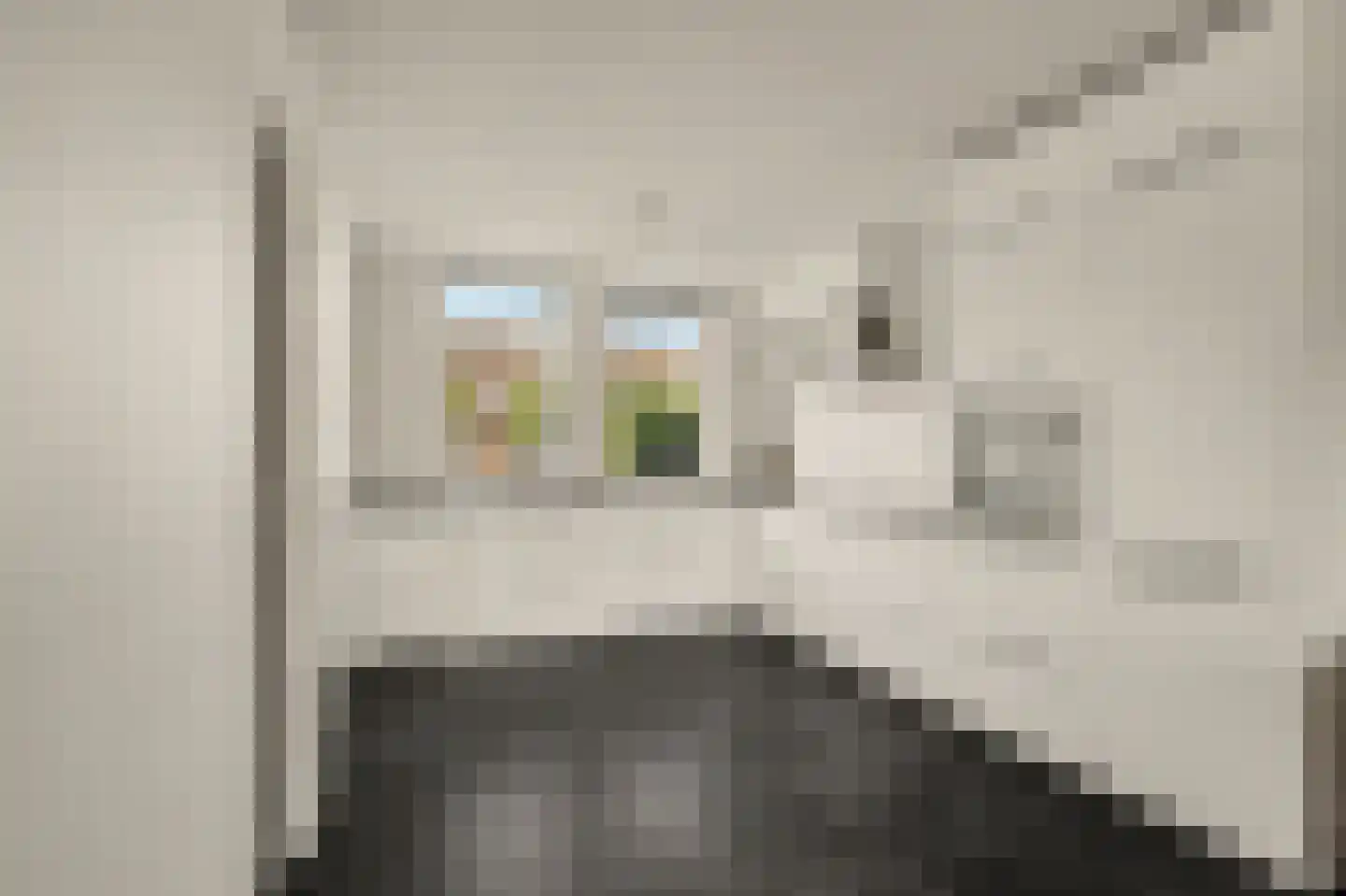 Wederik 15 Reeuwijk thumbnail 4