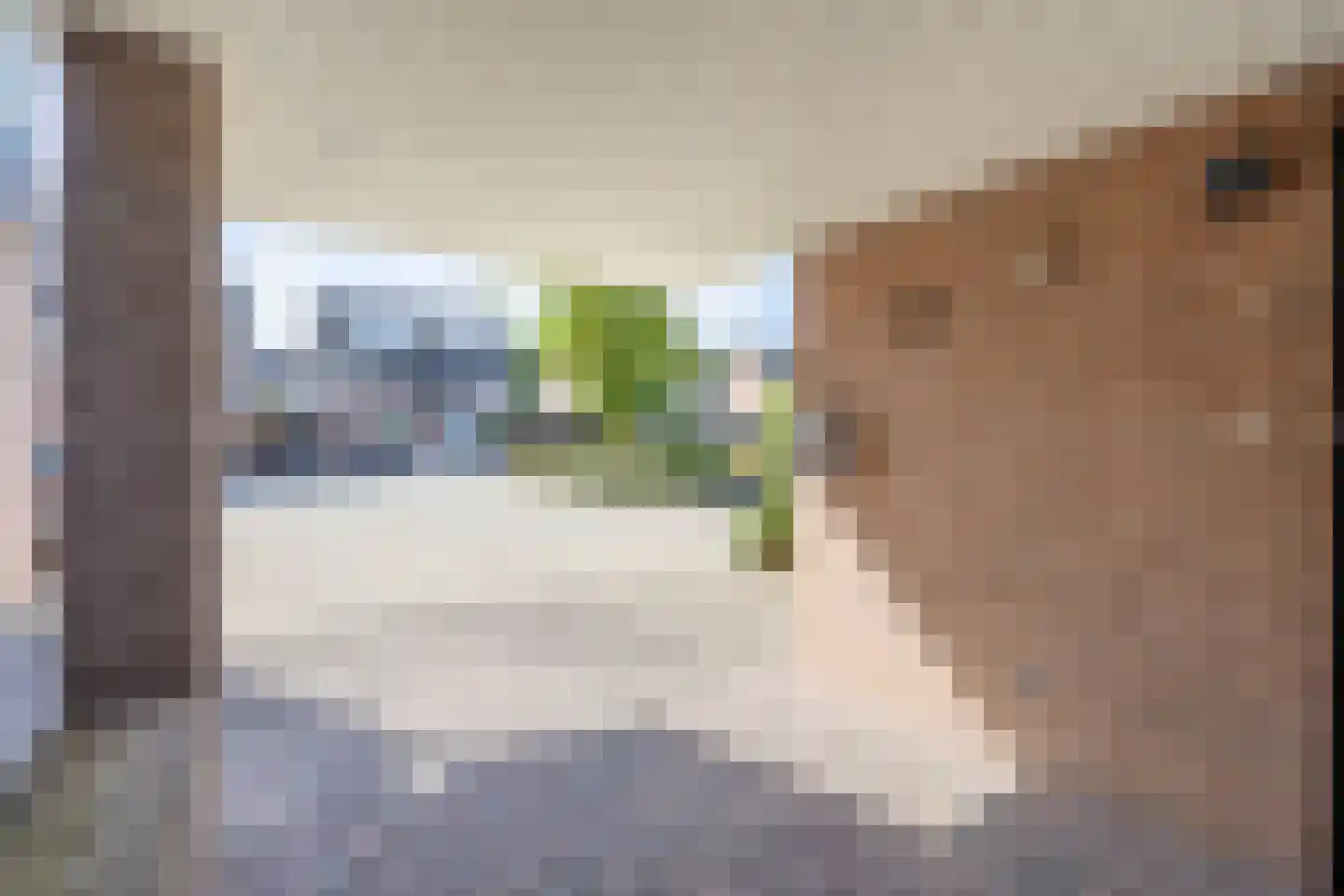 Wederik 15 Venray thumbnail 30