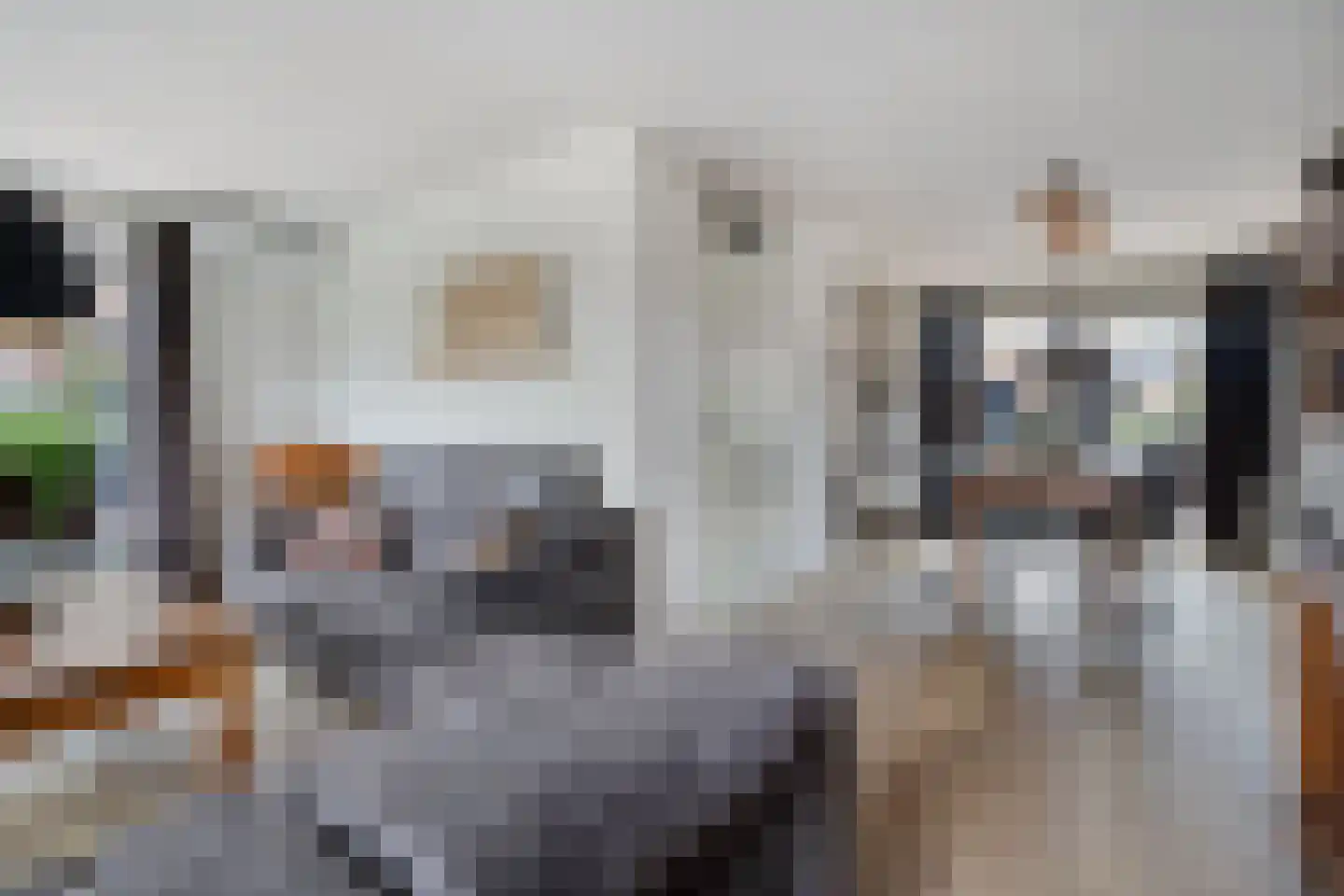 Wederik 16 Haaksbergen thumbnail 14