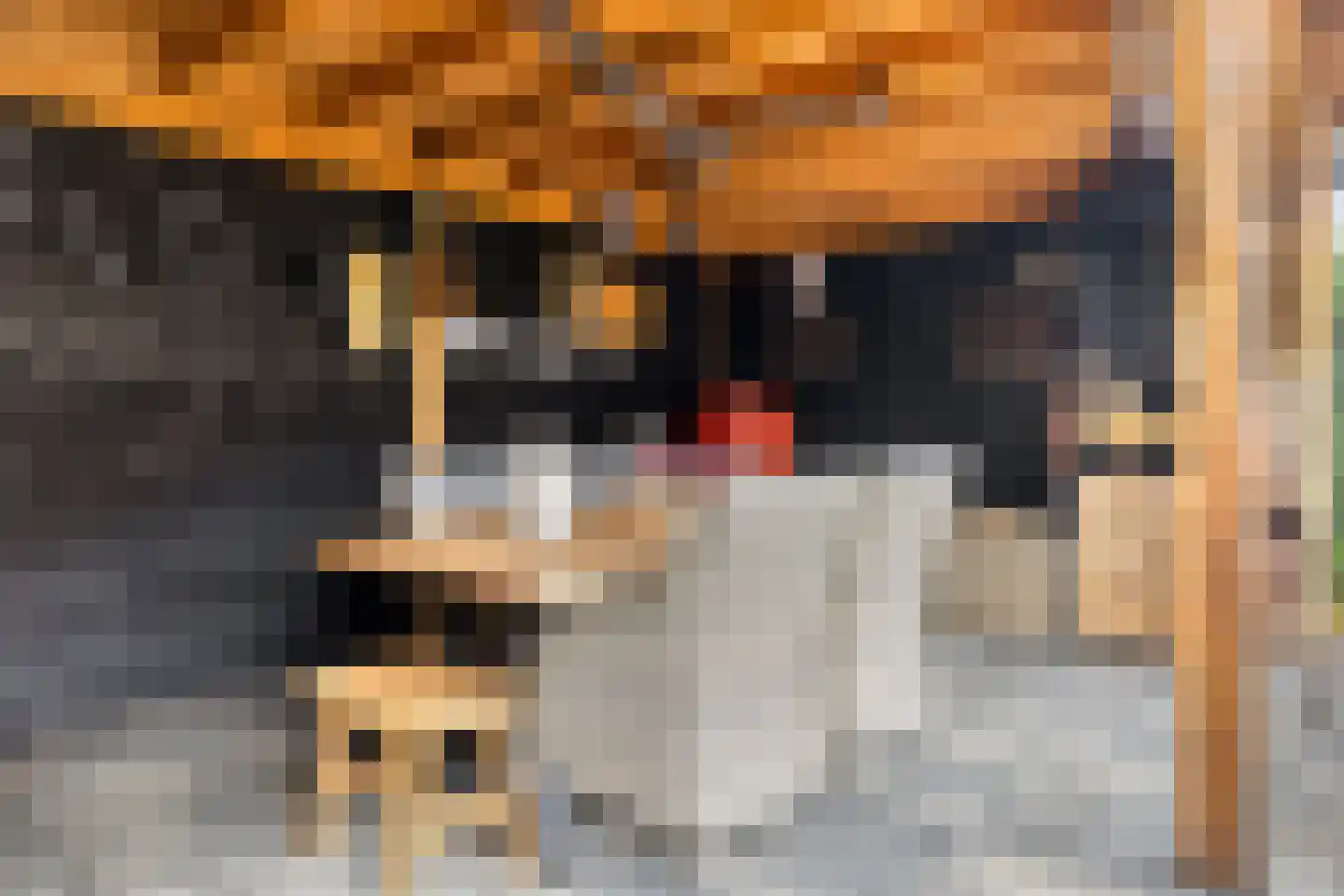Wederik 16 Haaksbergen thumbnail 26