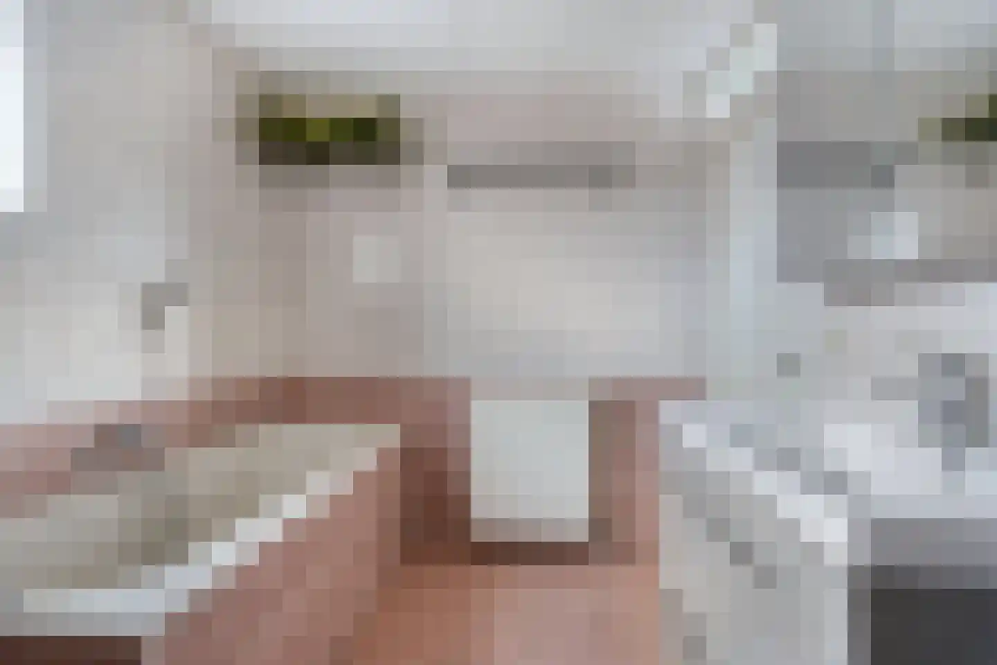 Wederik 16 Haaksbergen thumbnail 36
