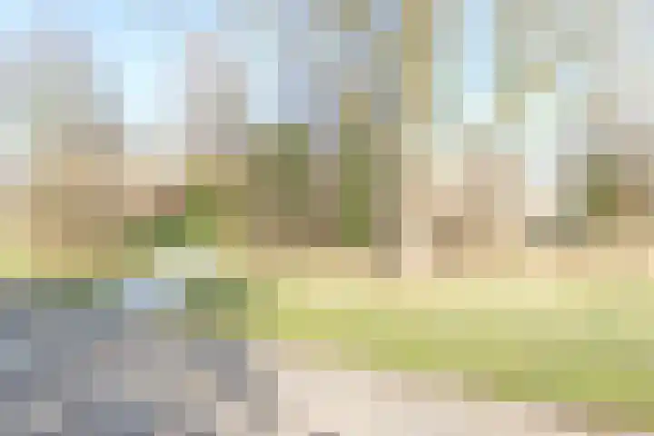 Wederik 16 Zuidhorn thumbnail 36