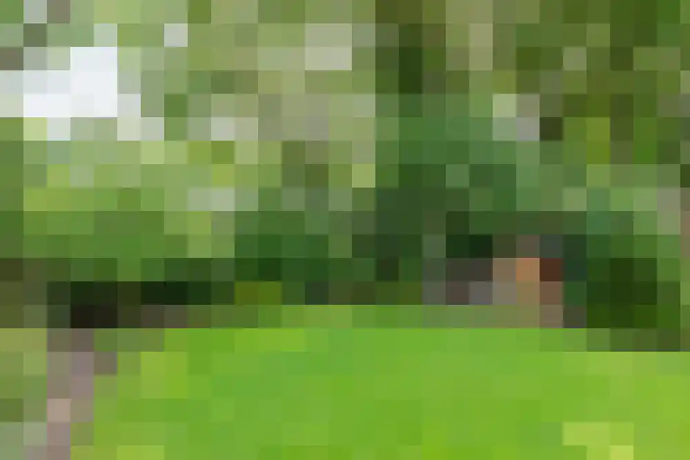 Wederik 19 Wolvega thumbnail 27