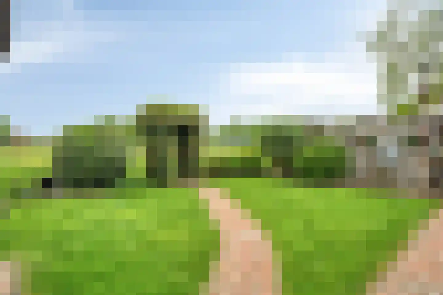 Wederik 20 Oldebroek thumbnail 35