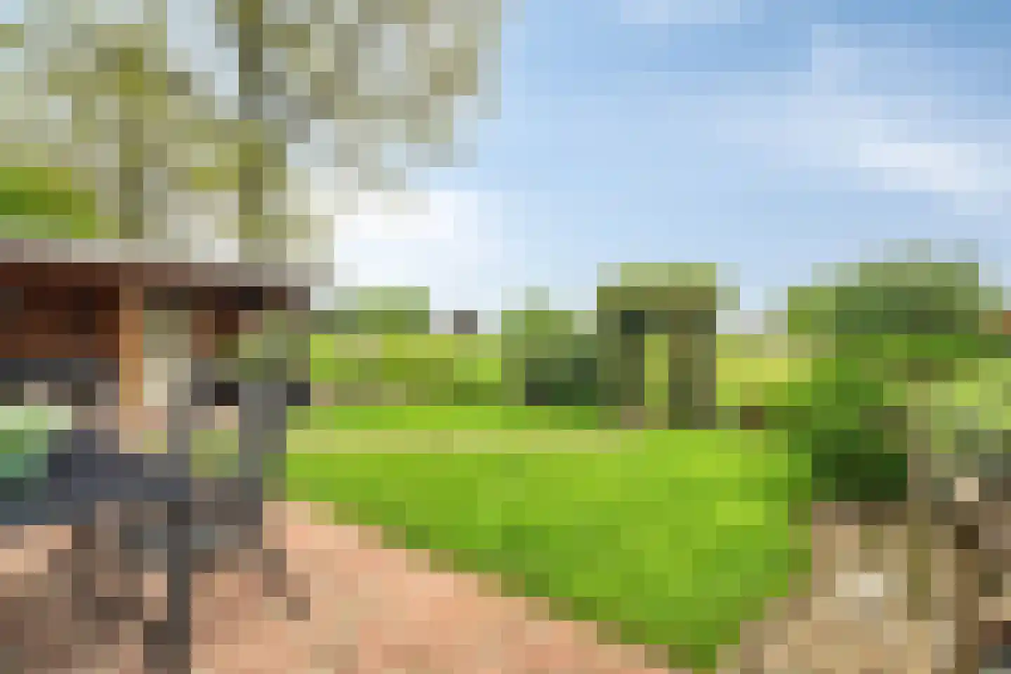Wederik 20 Oldebroek thumbnail 36