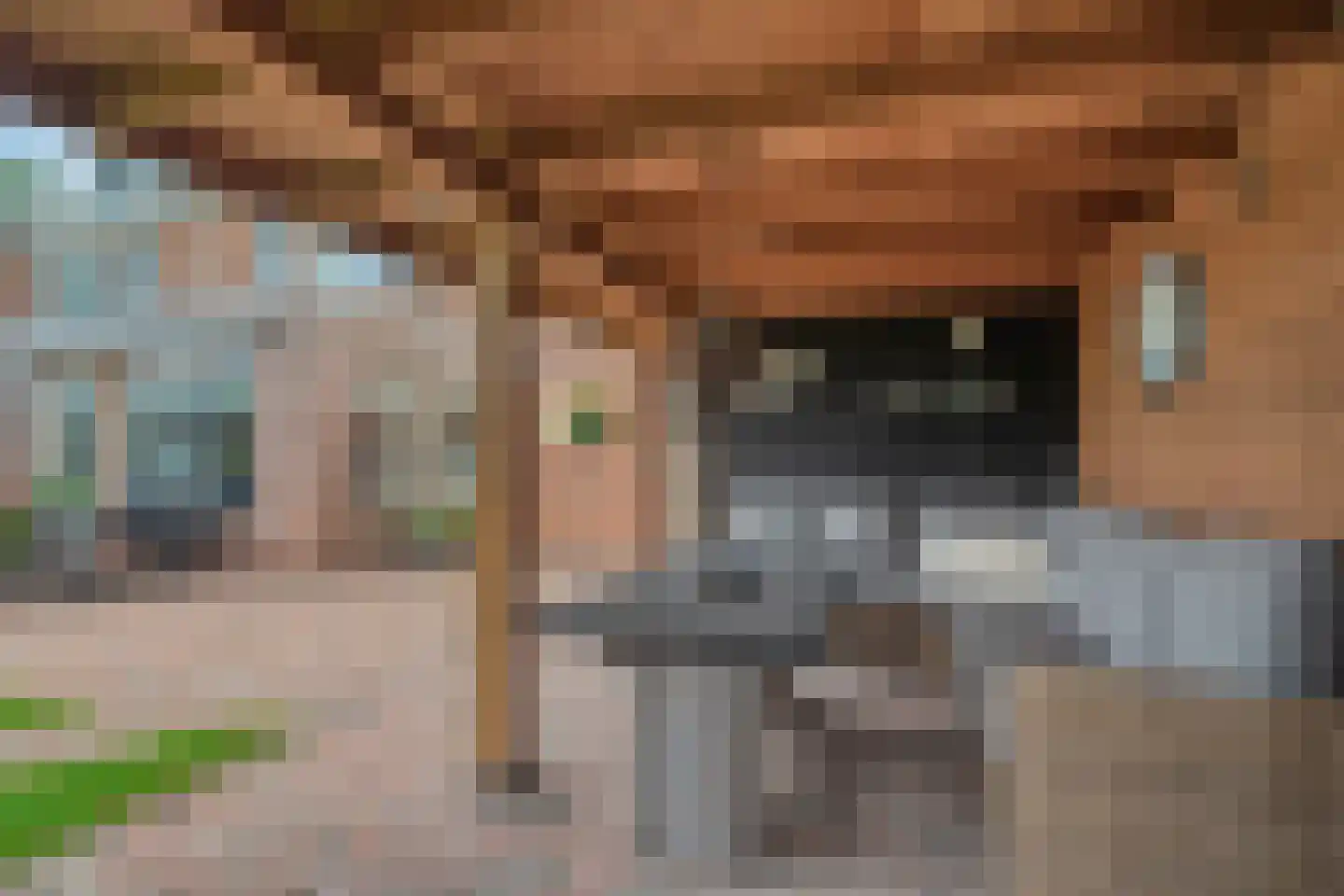 Wederik 20 Oldebroek thumbnail 40