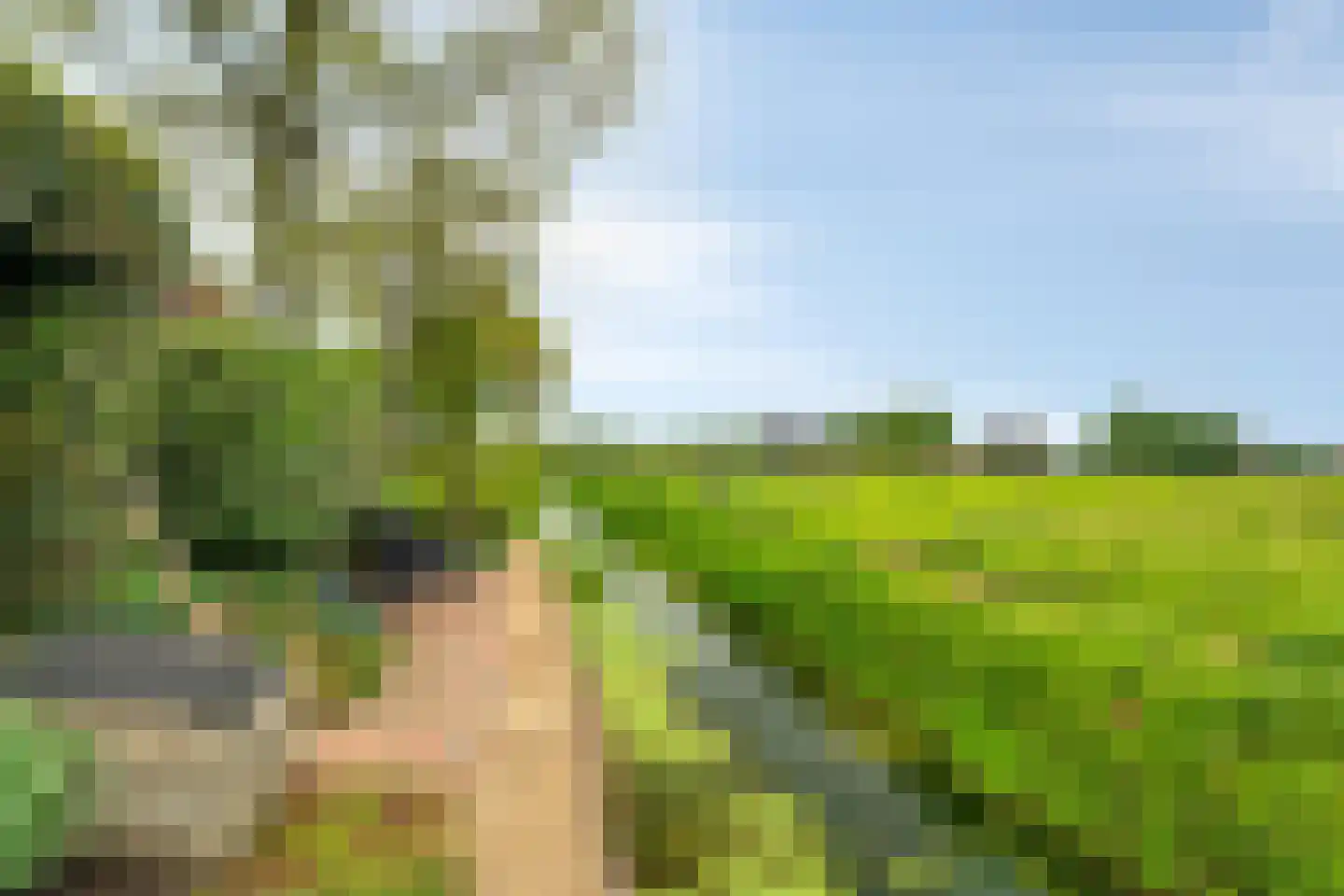 Wederik 20 Oldebroek thumbnail 44