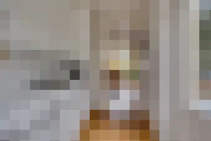 Wederik 23 Leusden thumbnail 11