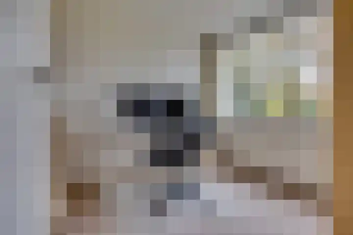 Wederik 23 Leusden thumbnail 20