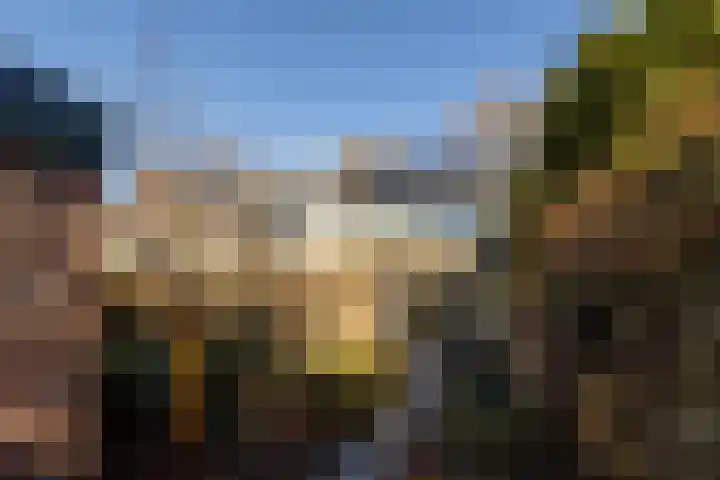 Wederik 23 Leusden thumbnail 28