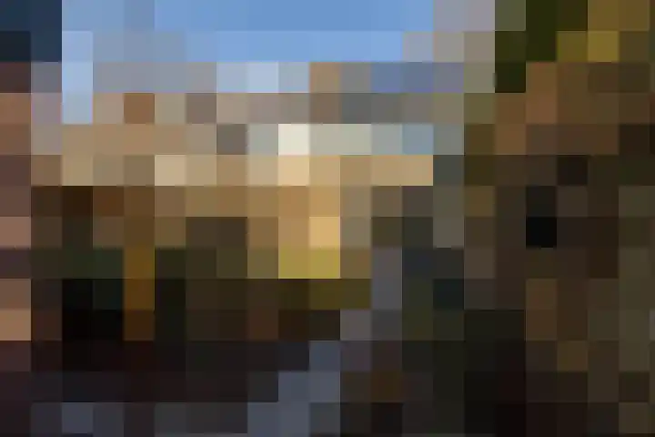 Wederik 23 Leusden thumbnail 29