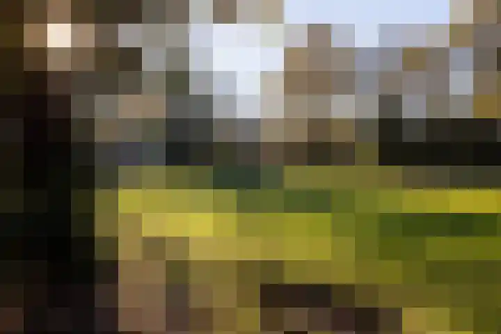 Wederik 23 Leusden thumbnail 31