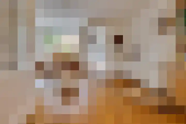 Wederik 23 Leusden thumbnail 5