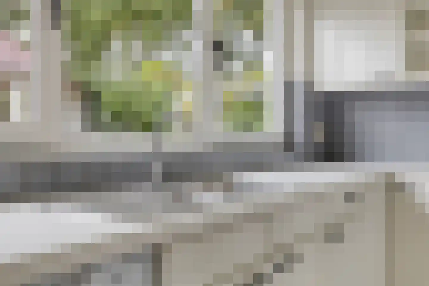 Wederik 25 Herkenbosch thumbnail 15