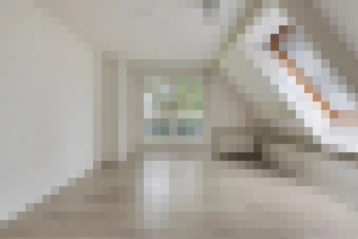 Wederik 25 Herkenbosch thumbnail 21