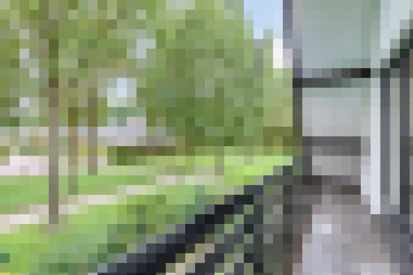 Wederik 25 Herkenbosch thumbnail 24