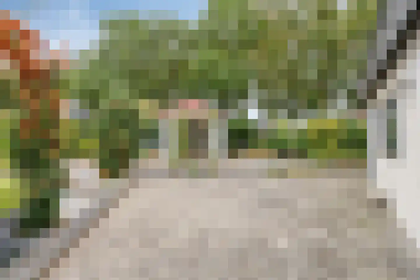 Wederik 25 Herkenbosch thumbnail 33