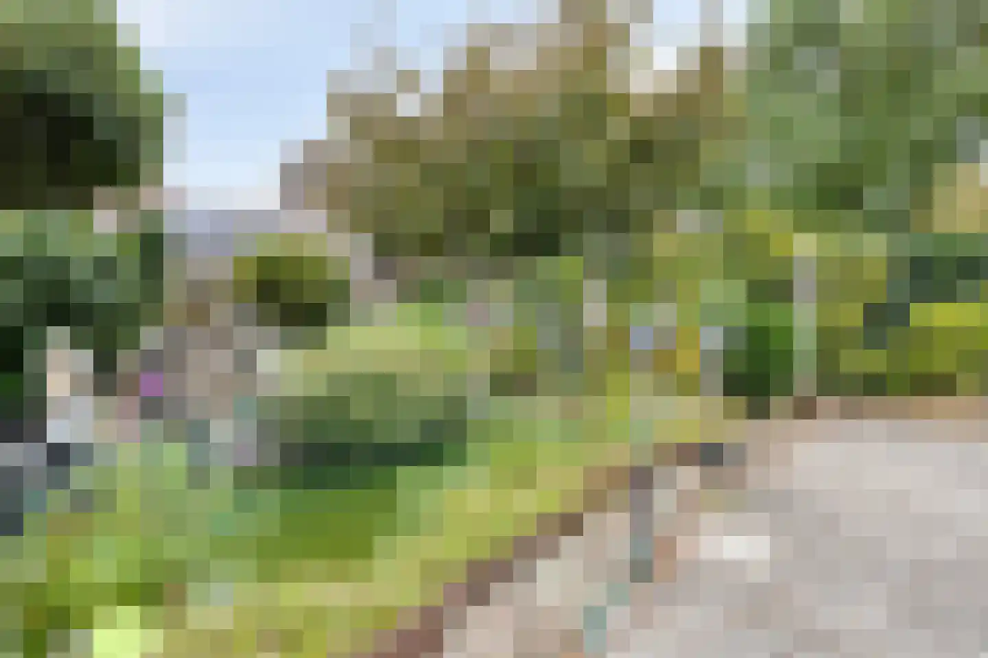 Wederik 25 Herkenbosch thumbnail 35