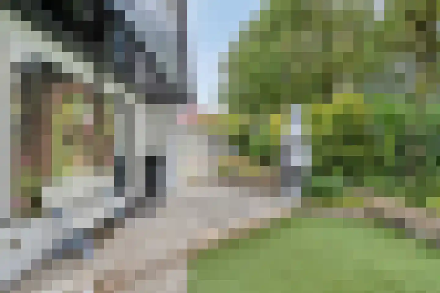 Wederik 25 Herkenbosch thumbnail 39