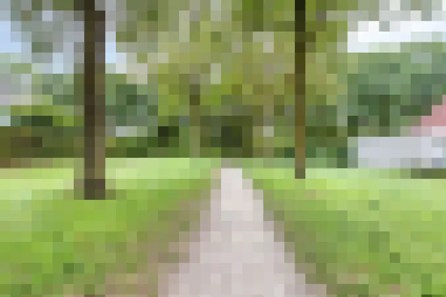 Wederik 25 Herkenbosch thumbnail 43