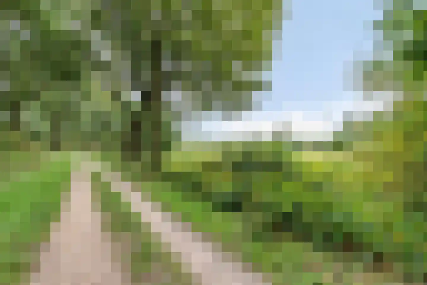 Wederik 25 Herkenbosch thumbnail 44
