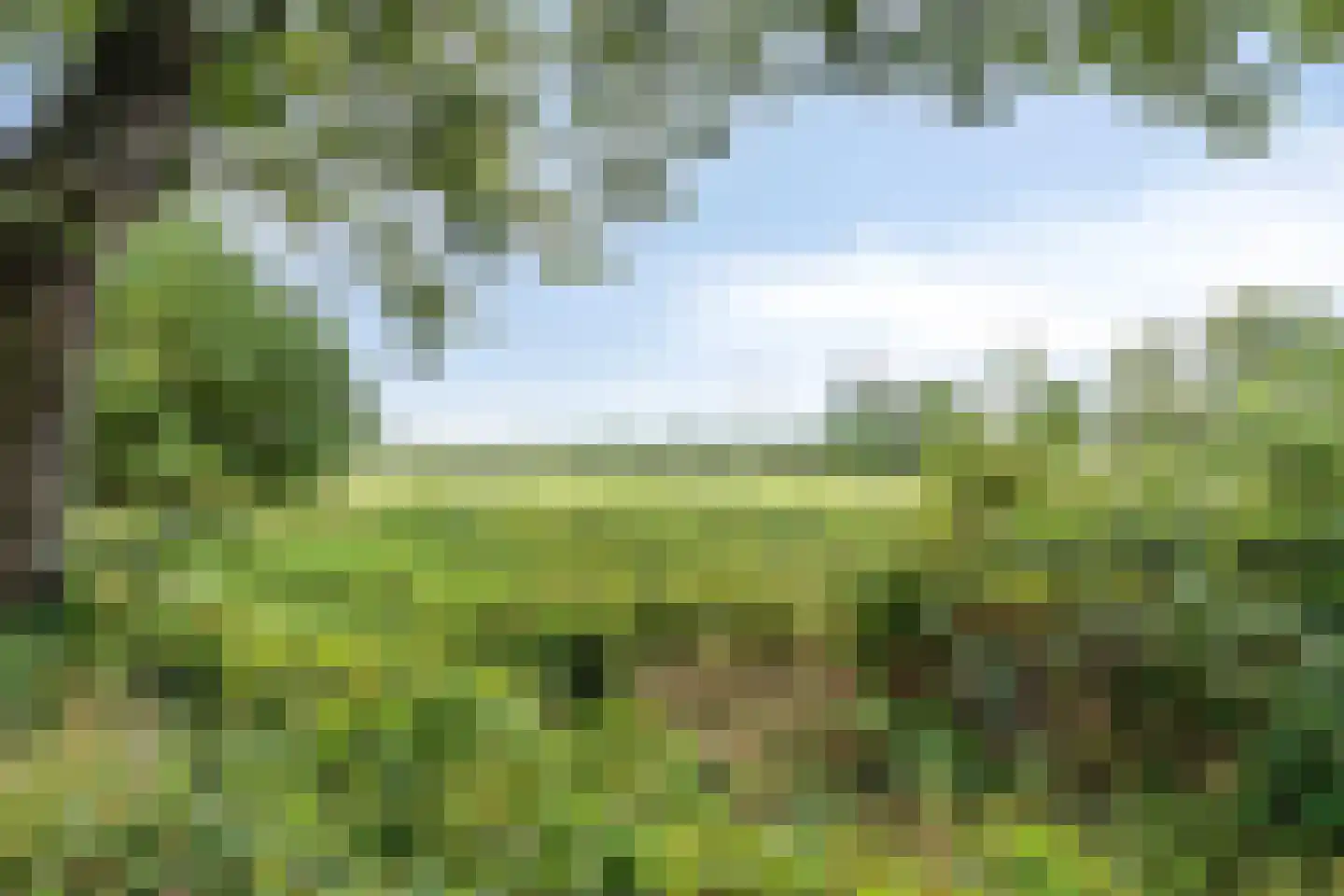 Wederik 25 Herkenbosch thumbnail 45