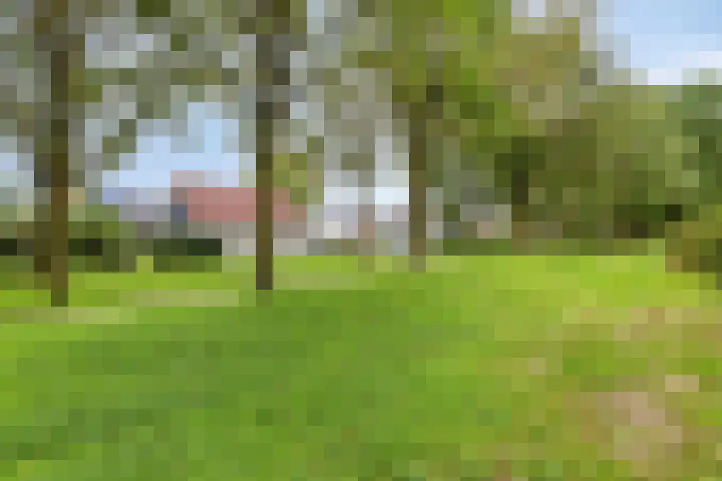 Wederik 25 Herkenbosch thumbnail 46