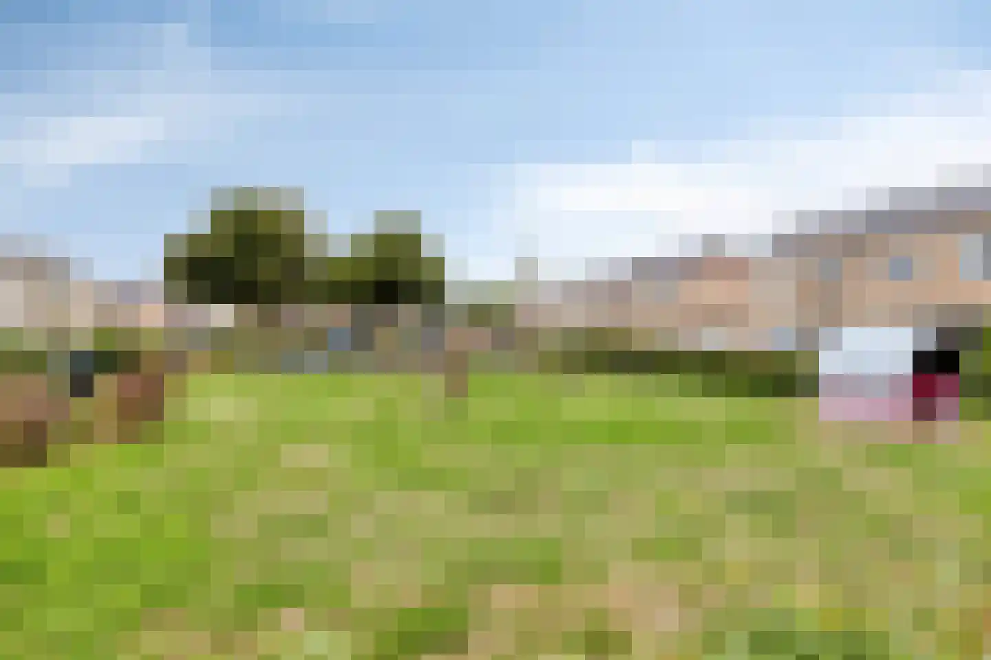 Wederik 25 Herkenbosch thumbnail 47