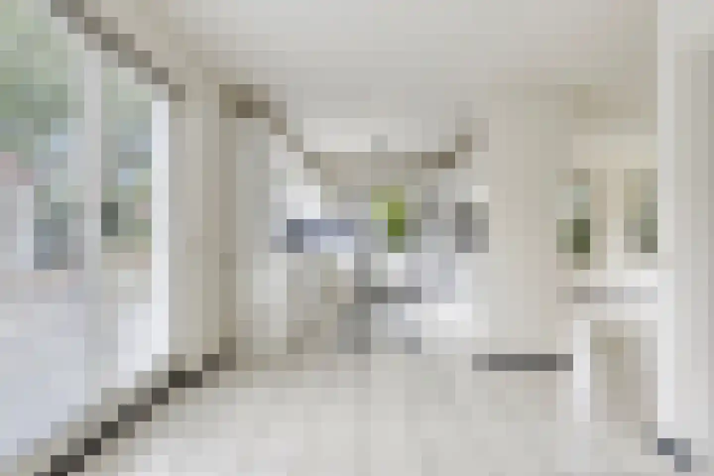 Wederik 25 Herkenbosch thumbnail 9