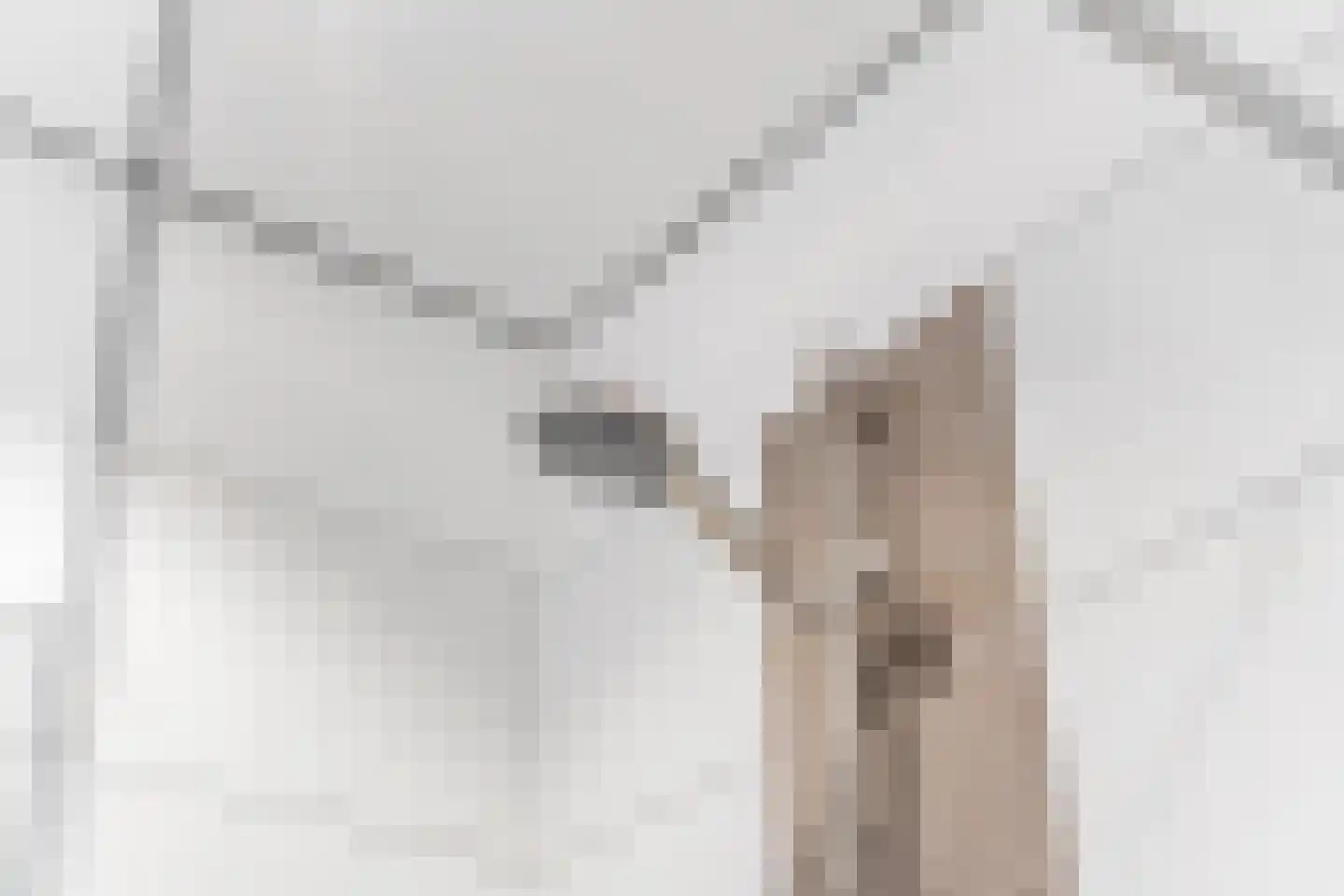 Wederik 26 Leusden thumbnail 17