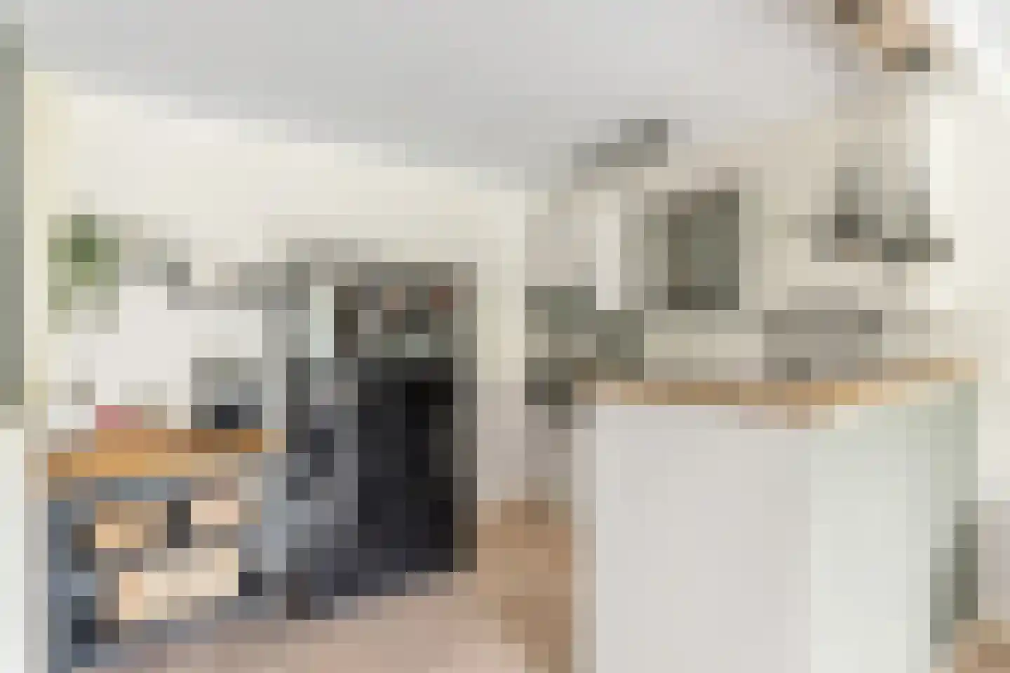 Wederik 26 Leusden thumbnail 21