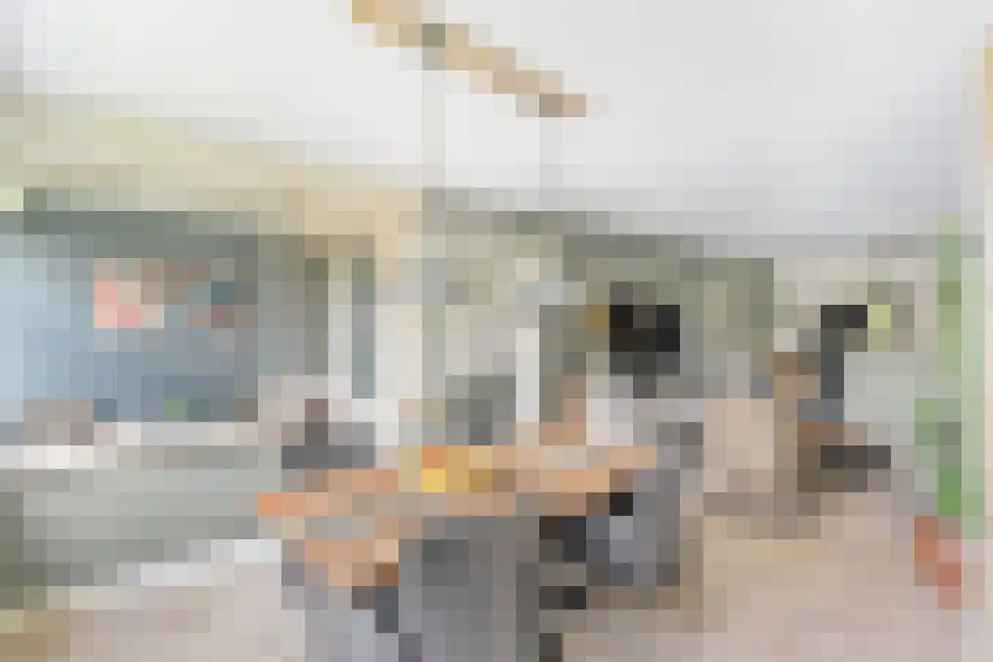Wederik 26 Leusden thumbnail 22