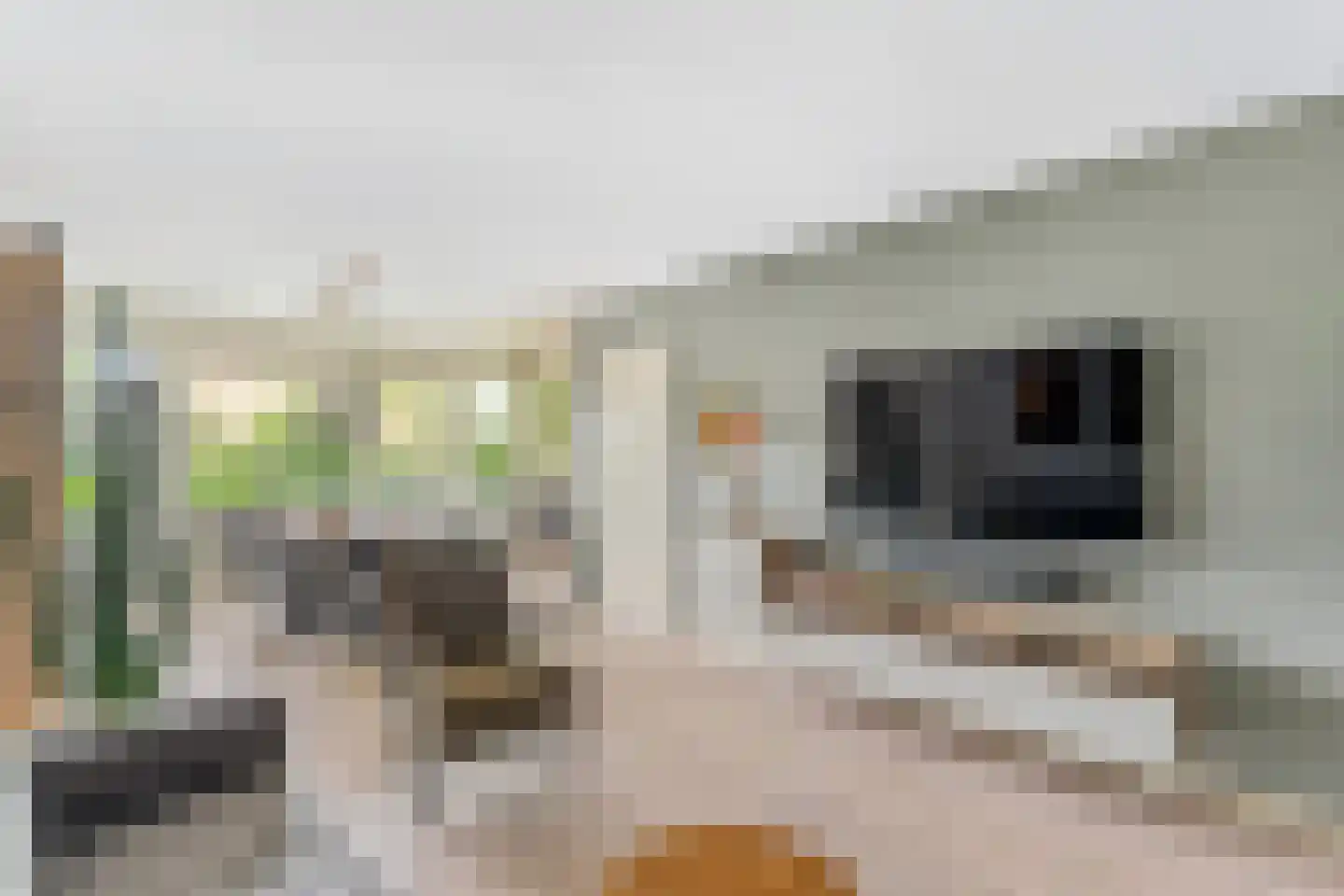 Wederik 26 Leusden thumbnail 24