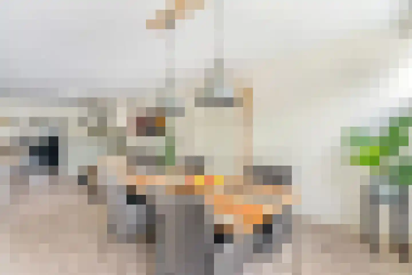 Wederik 26 Leusden thumbnail 27