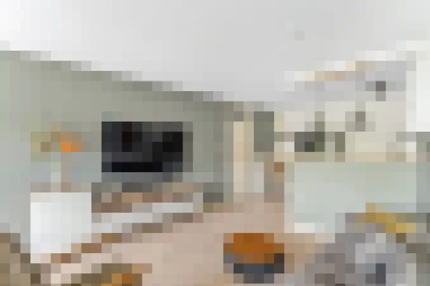 Wederik 26 Leusden thumbnail 29