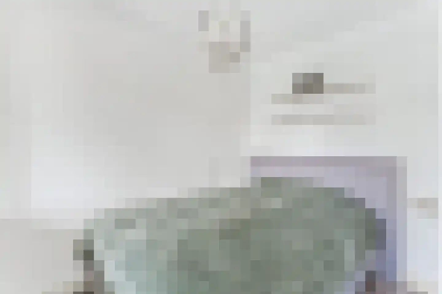 Wederik 26 Leusden thumbnail 30