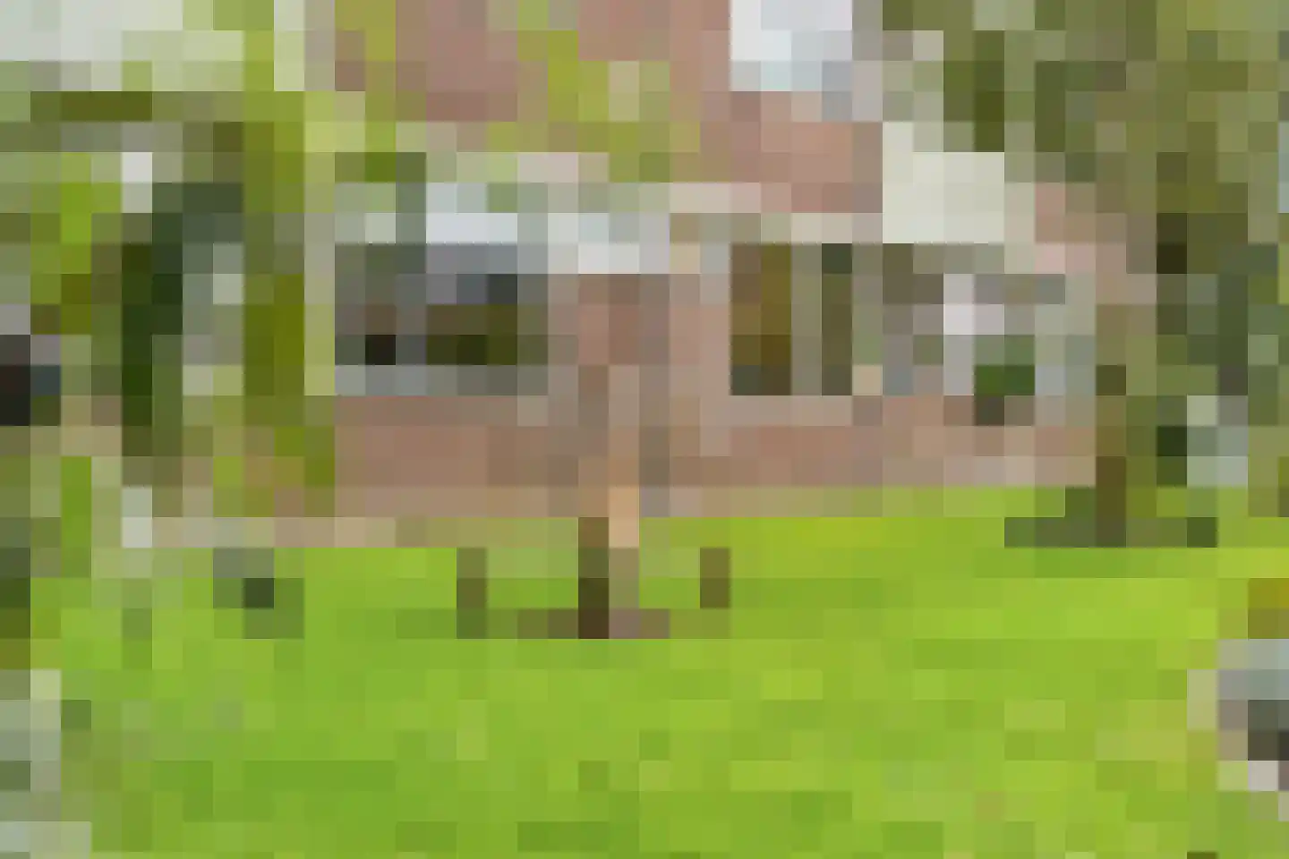 Wederik 26 Leusden thumbnail 36