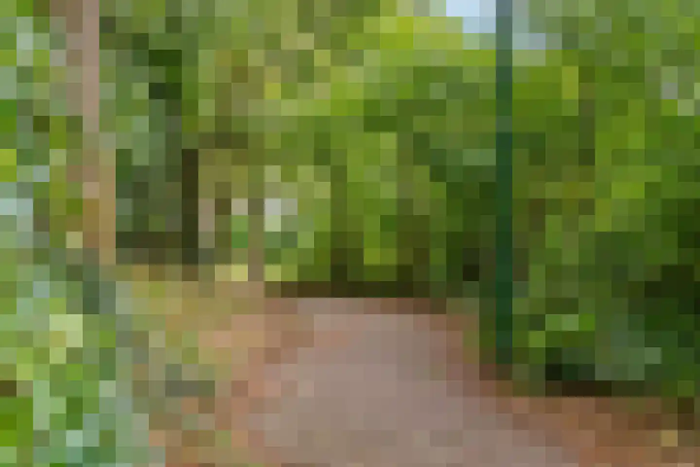 Wederik 26 Leusden thumbnail 38