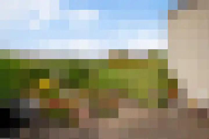 Wederik 28 Reeuwijk thumbnail 25