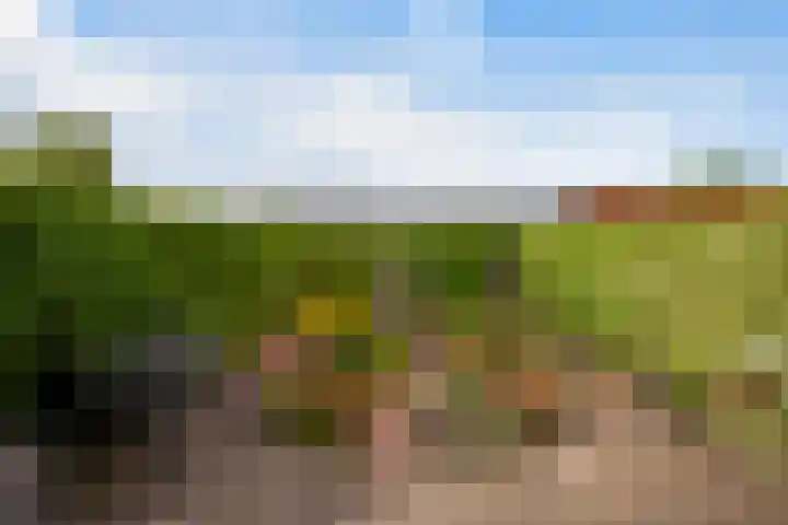 Wederik 28 Reeuwijk thumbnail 26